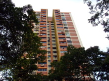 Blk 523 Jurong West Street 52 (Jurong West), HDB 5 Rooms #428462